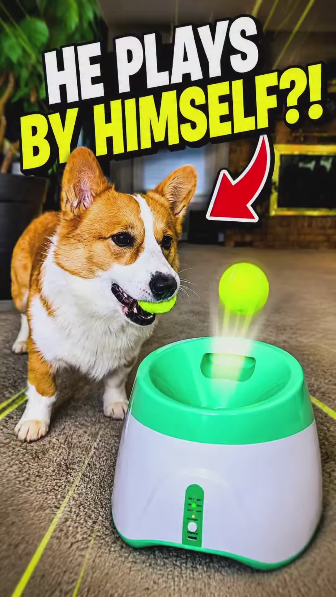 Load video: 